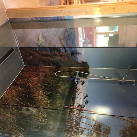 Semesterbostad Blockhaus - De Lüt Holt Hus *